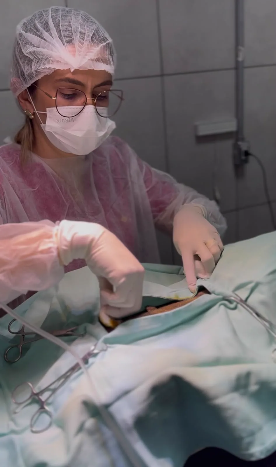 Médica veterinária paramentada com gorro, máscara, avental e luvas, realizando uma cirurgia com o campo cirúrgico montado, na Clínica Veterinária São Francisco, em Itararé/SP
