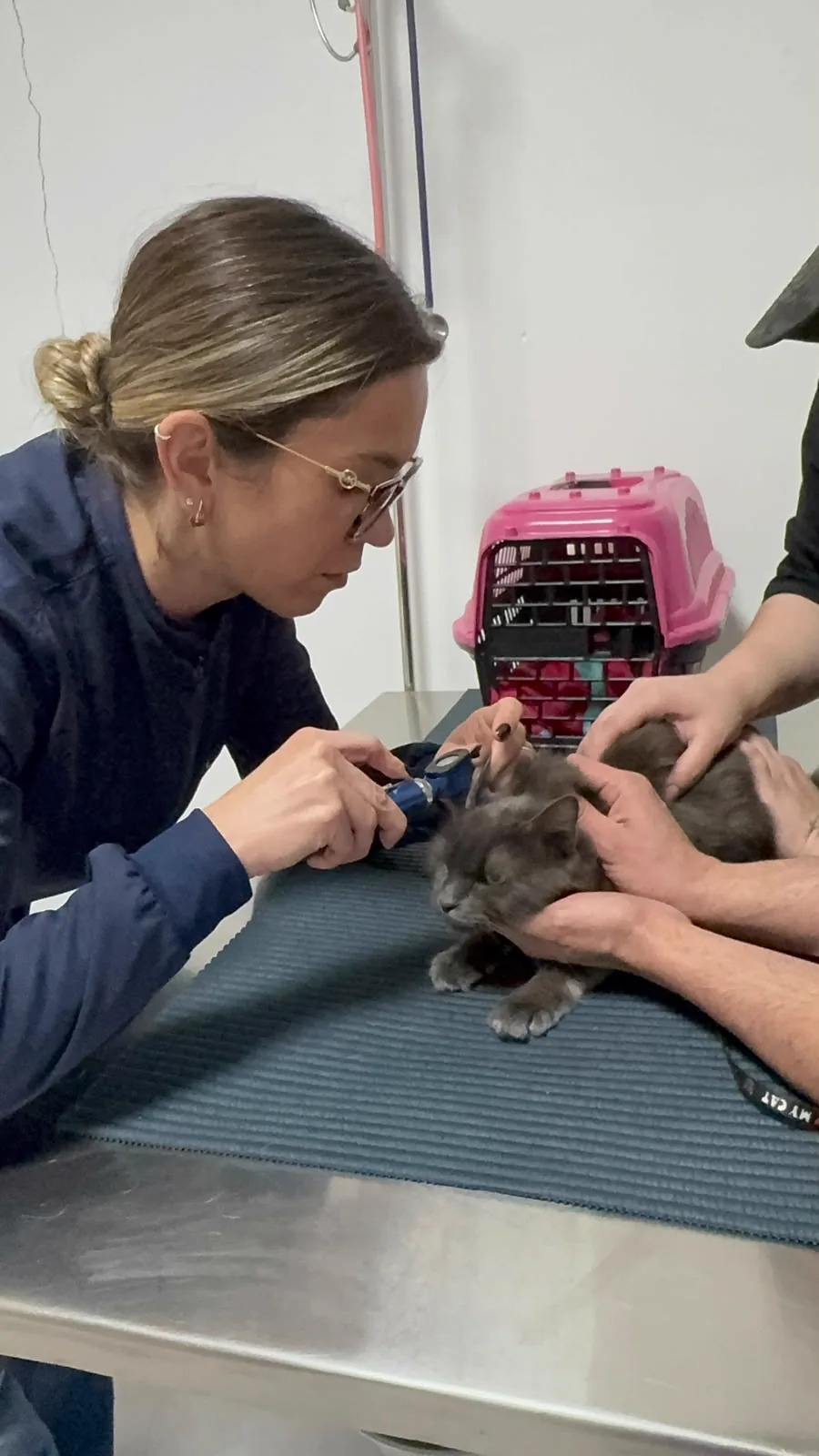 Médica veterinária examinando o ouvido de um gato durante consulta na Clínica São Francisco, em Itararé/SP, com o tutor segurando o animal