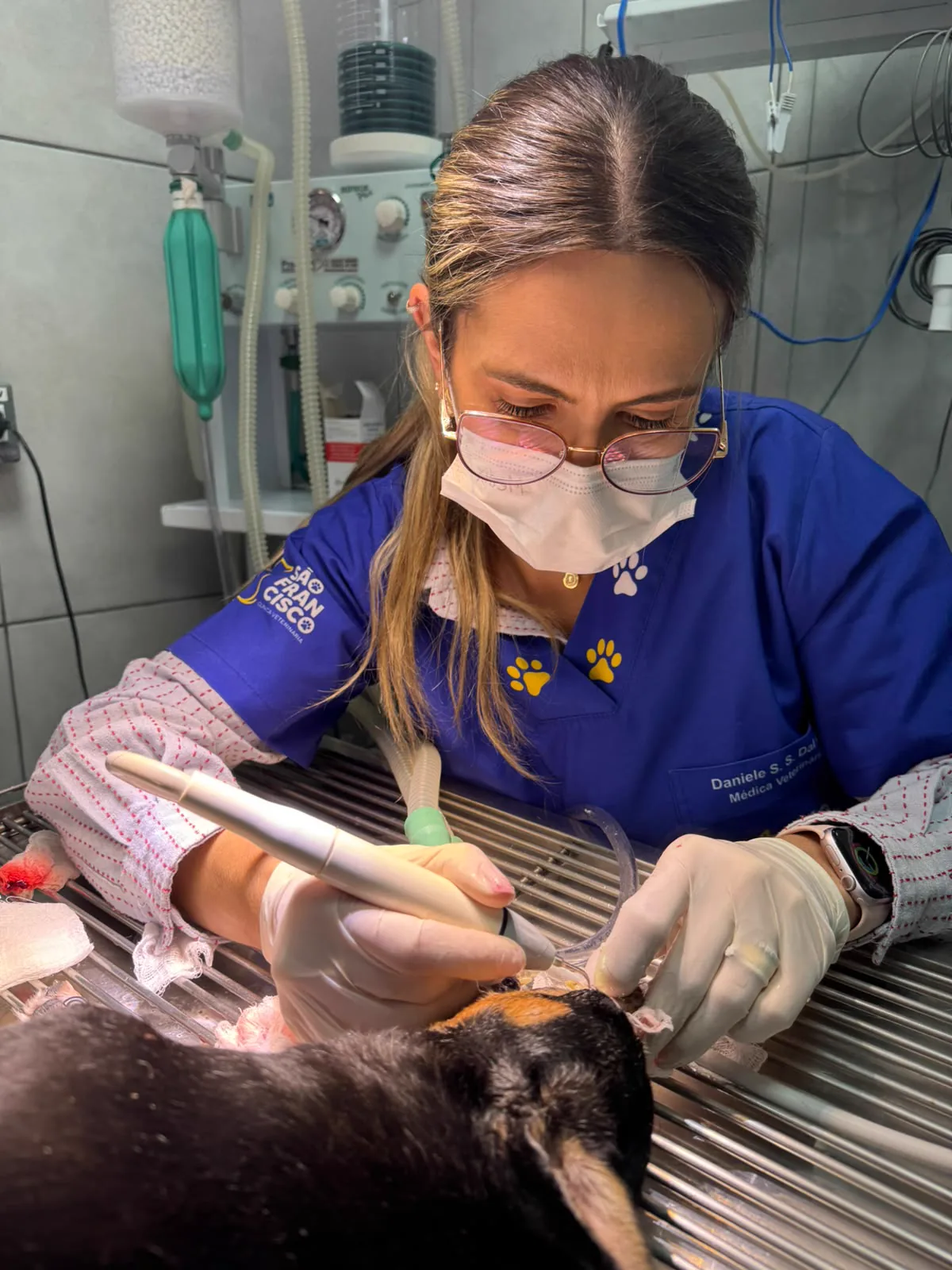 Médica veterinária realizando tartarectomia com ultrassom odontológico em um cão anestesiado e intubado, com o aparelho de anestesia inalatória ao fundo, na Clínica São Francisco, Itararé/SP